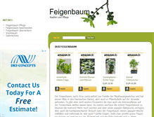Tablet Screenshot of feigenbaum.net